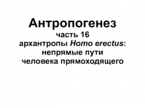 Антропогенез часть 16 архантропы Homo erectus : непрямые пути человека