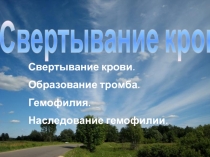 Свертывание крови
Свертывание крови.
Образование