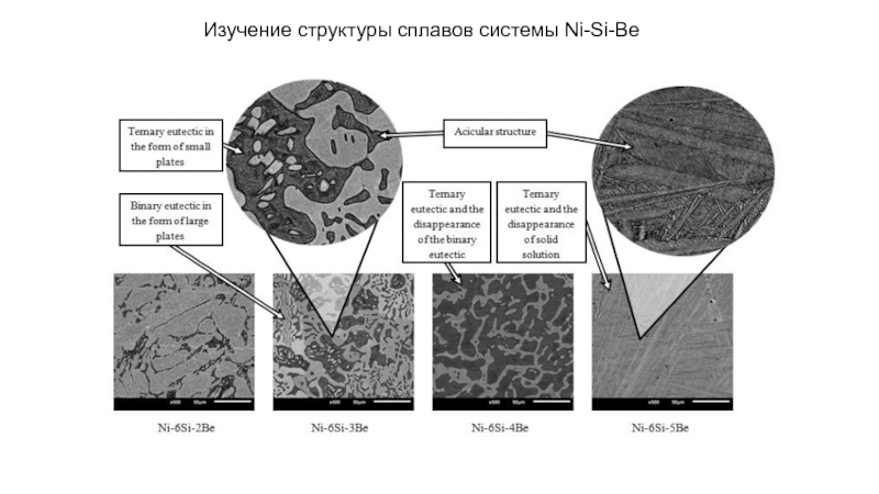 Представленные структуры в виде. Микроструктура сплава мл2. Структура сплава 42нхтю. Структурный состав сплава. Опишите структуру сплава.