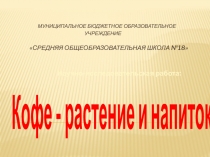 Муниципальное бюджетное образовательное учреждение  Средняя