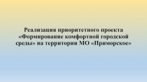 Реализация приоритетного проекта Формирование комфортной городской среды на