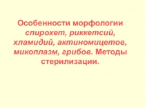 Особенности морфологии спирохет, риккетсий, хламидий, актиномицетов, микоплазм,