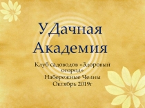 УДачная Академия