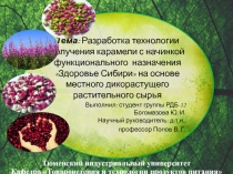 Выполнил: студент группы РДБ-12 Богомазова Ю. И.
Научный руководитель: д.т.н.,