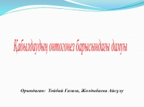 Қабылдаудың онтогонез барысындағы дамуы
Орындаған: Тойбай Ғазиза, Жолдыбаева