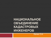 Национальное объединение кадастровых инженеров