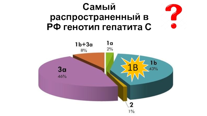 Генотип 2 вируса гепатита с