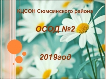 КЦСОН Сюмсинского района ОСОД №2 2019год