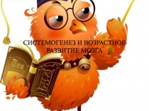 СИСТЕМОГЕНЕЗ И ВОЗРАСТНОЕ РАЗВИТИЕ МОЗГА