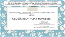 Презентация по дисциплине : разнообразие растительного мира на тему: Семейство