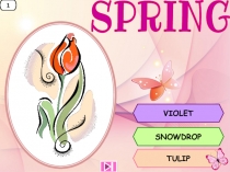 1
VIOLET
SNOWDROP
TULIP
SPRING