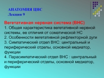 АНАТОМИЯ ЦНС
Лекция 9
Вегетативная нервная система (ВНС)
1. Общая