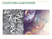 ГЕНЕТИКА БАКТЕРИЙ