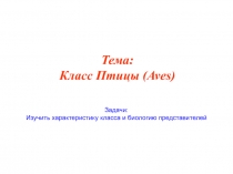 Тема: Класс Птицы (Aves)
Задачи:
Изучить характеристику класса и биологию