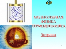 МОЛЕКУЛЯРНАЯ
ФИЗИКА
ТЕРМОДИНАМИКА
Энтропия
1