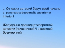 1. От каких артерий берут своё начало a. pancreaticoduodenalis superior et