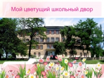 Мой цветущий школьный двор
