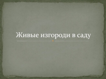 Живые изгороди в саду