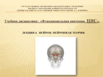 ГОСУДАРСТВЕННОЕ Автономное образовательное учреждение высшего образования