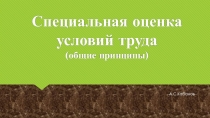 А.С.Кабанов
Специальная оценка условий труда
(общие принципы)