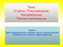 Тема: Отделы: Плауновидные, Хвощевидные, Папоротниковидные