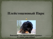 Плейстоценовый Парк