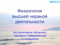 Физиология высшей нервной деятельности
Ассоциативное обучение у человека