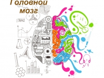 Головной мозг