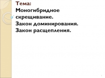 Тема: Моногибридное скрещивание. Закон доминирования. Закон расщепления