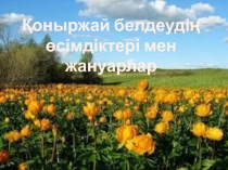 Қоныржай белдеудің
өсімдіктері мен жануарлар