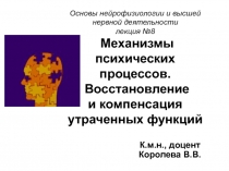 Основы нейрофизиологии и высшей нервной деятельности лекция №8 Механизмы