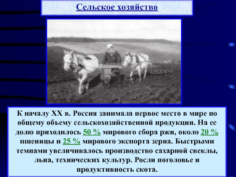 Сельское хозяйство в начале 19 века в России