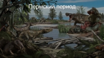 Пермский период