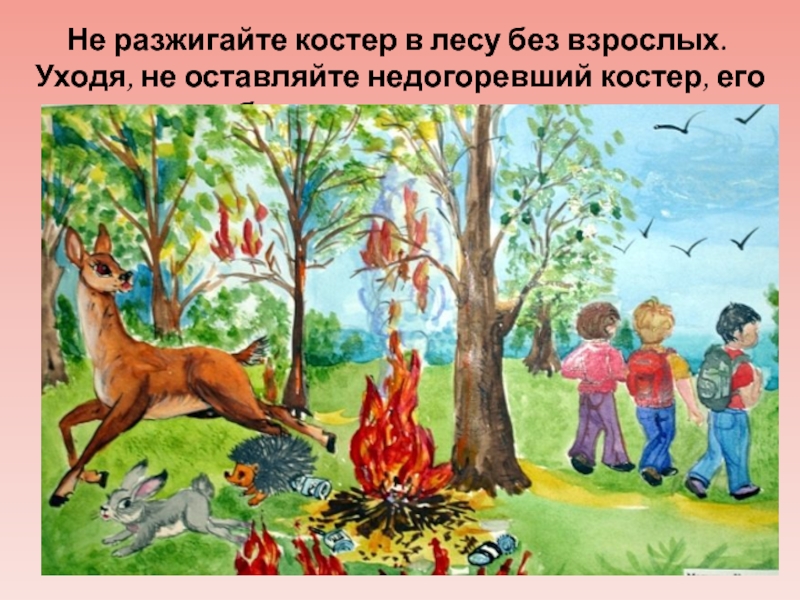 Рисунки костра в лесу