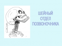 ШЕЙНЫЙ
ОТДЕЛ
ПОЗВОНОЧНИКА