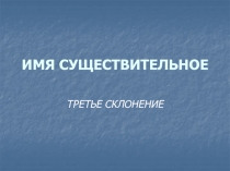 ИМЯ СУЩЕСТВИТЕЛЬНОЕ