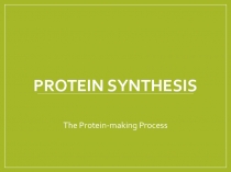 Protein Synthesis