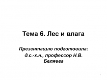 Тема 6. Лес и влага