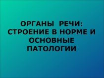 Органы речи: строение в норме и основные патологии