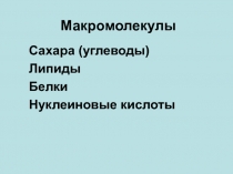 Макромолекулы