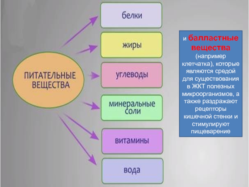 Обмен веществ 8 класс биология презентация