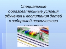 Специальные образовательные условия обучения и воспитания детей с задержкой