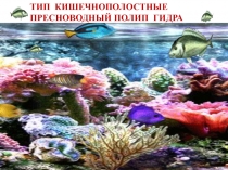 ТИП КИШЕЧНОПОЛОСТНЫЕ ПРЕСНОВОДНЫЙ ПОЛИП ГИДРА