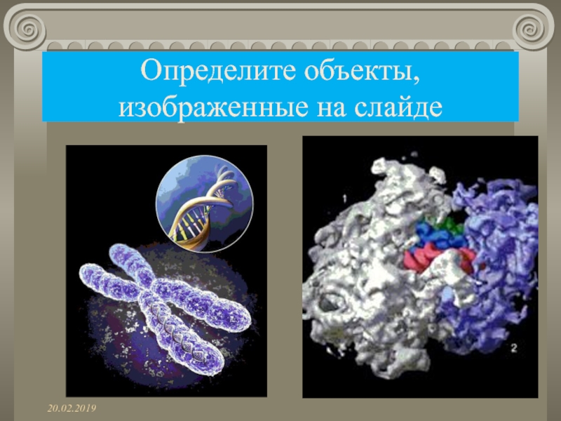 Определите объекты, изображенные на слайде