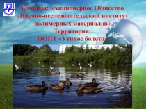 Команда: Акционерное Общество
Научно-исследовательский институт
полимерных