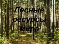 Лесные ресурсы мира