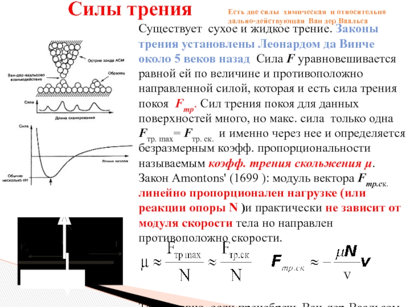 Физик установивший законы трения твердых тел