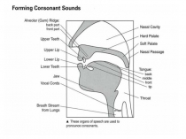 Classification of English Sounds