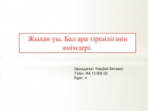 Жылан уы. Бал ара тіршілігінің өнімдері.
Орындаған: Ұзақбай Бөтакөз
Тобы: ФА