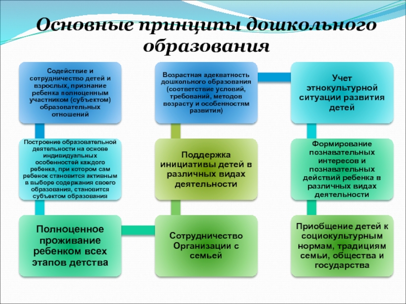 Государственный дошкольное образование. Принципы дошкольного образования. Общие принципы образования дошкольников. Принципы образовательного процесса в дошкольном образовании. Основная деятельность дошкольного образования.